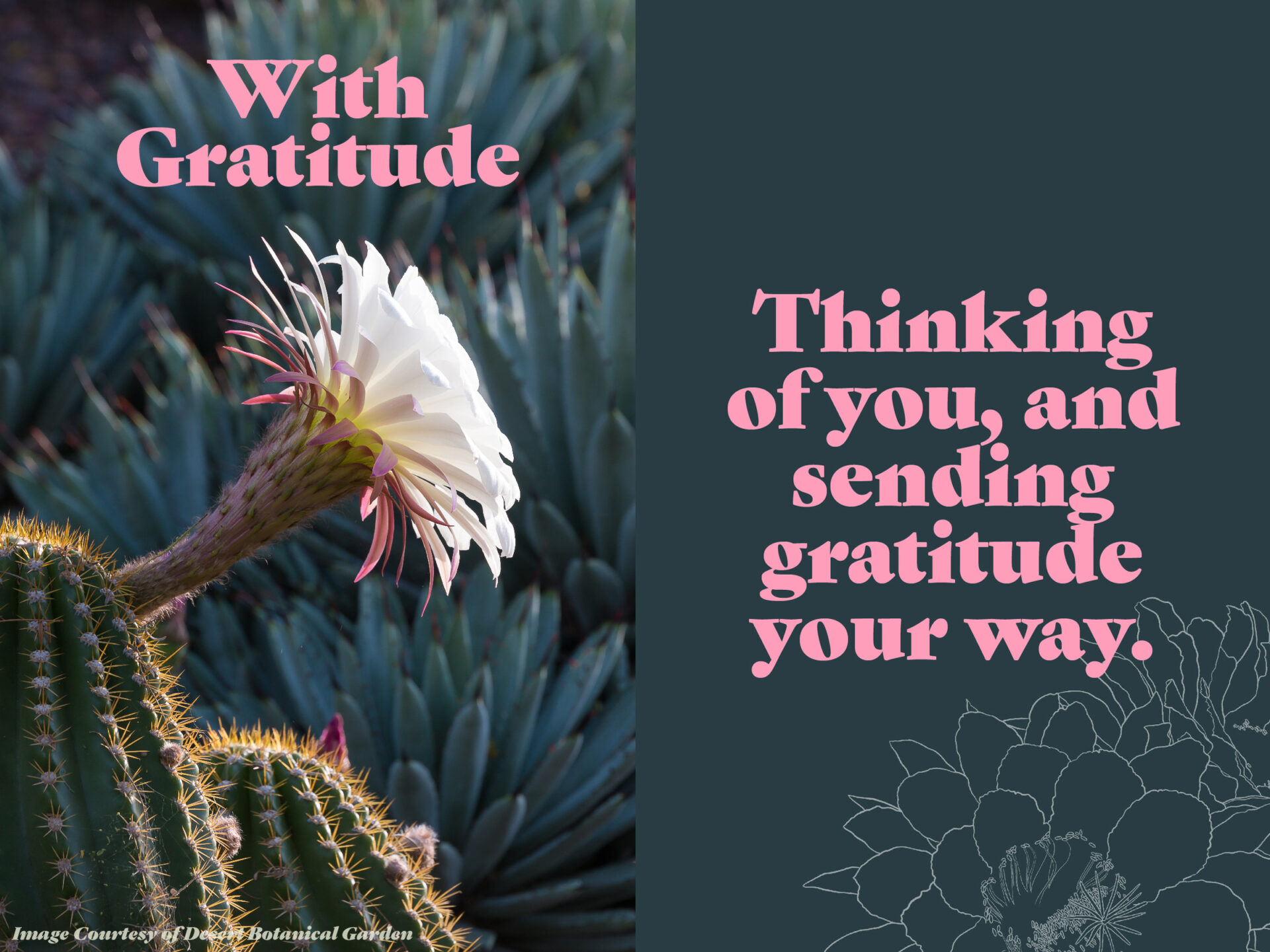 Desert Botanical Garden enviando postal de agradecimiento