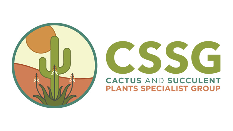 Logotipo de CSSG