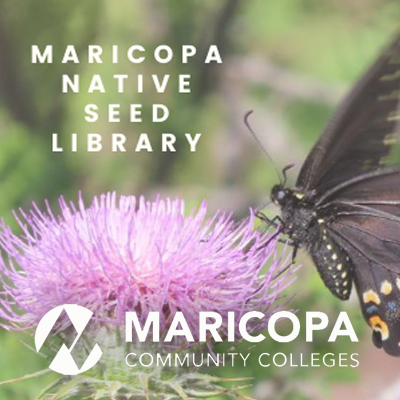 Logotipo de la biblioteca de semillas nativas de Maricopa