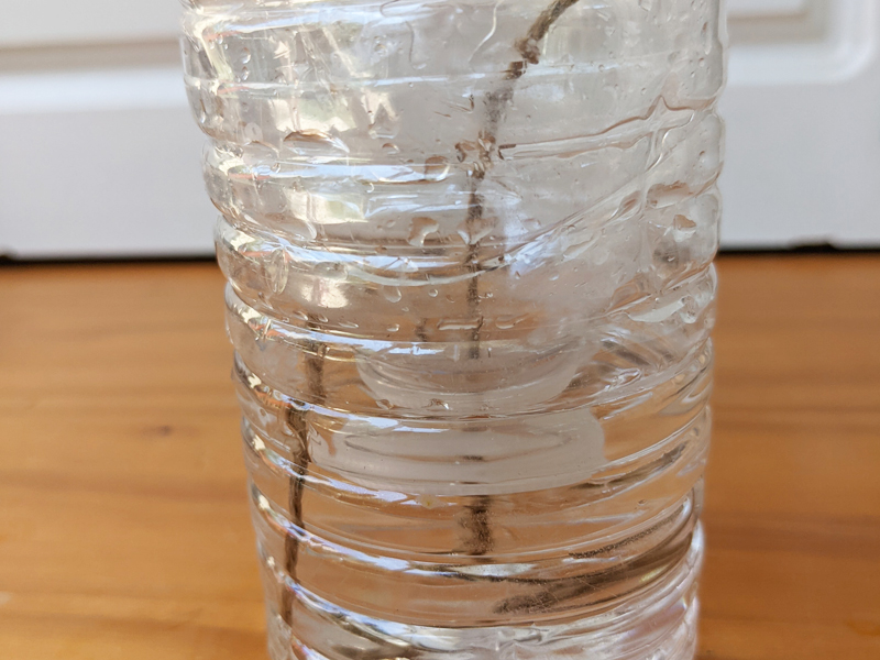 maceta de botella de agua paso 6