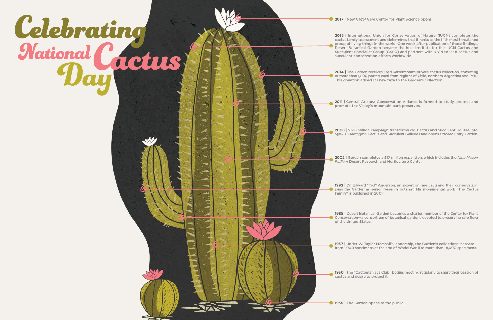 Infografía del día nacional del cactus