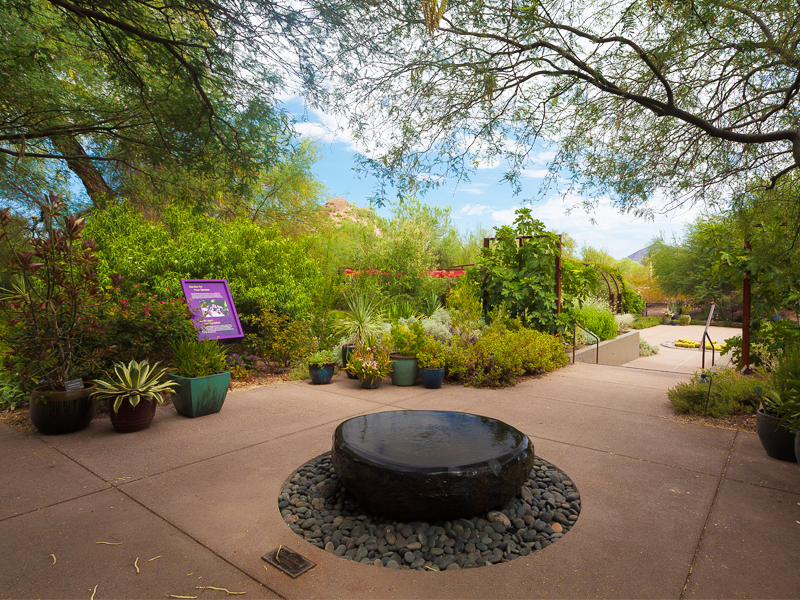 The Park – Shade Structures and Desert Landscaping