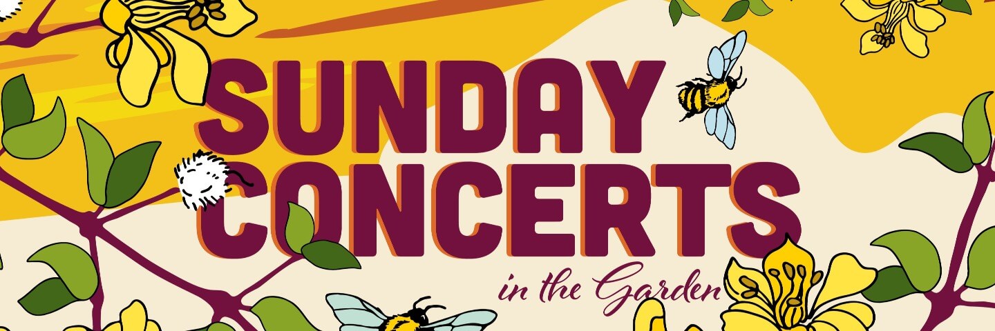 sunday concerts in the garden