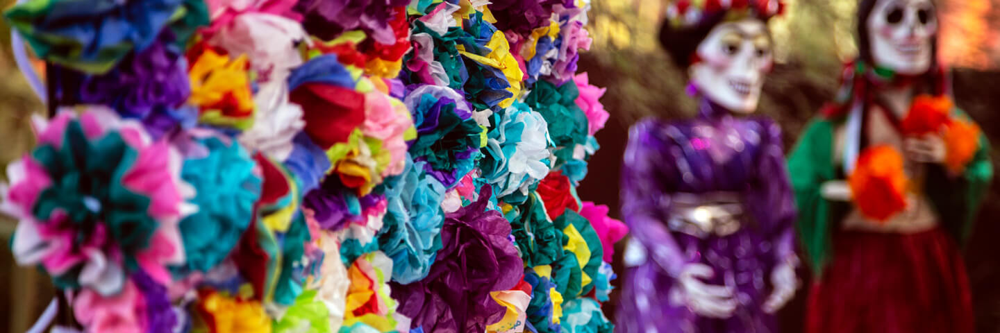 Primer plano de coloridas flores para el Día de los Muertos en los Jardines Botánicos del Desierto