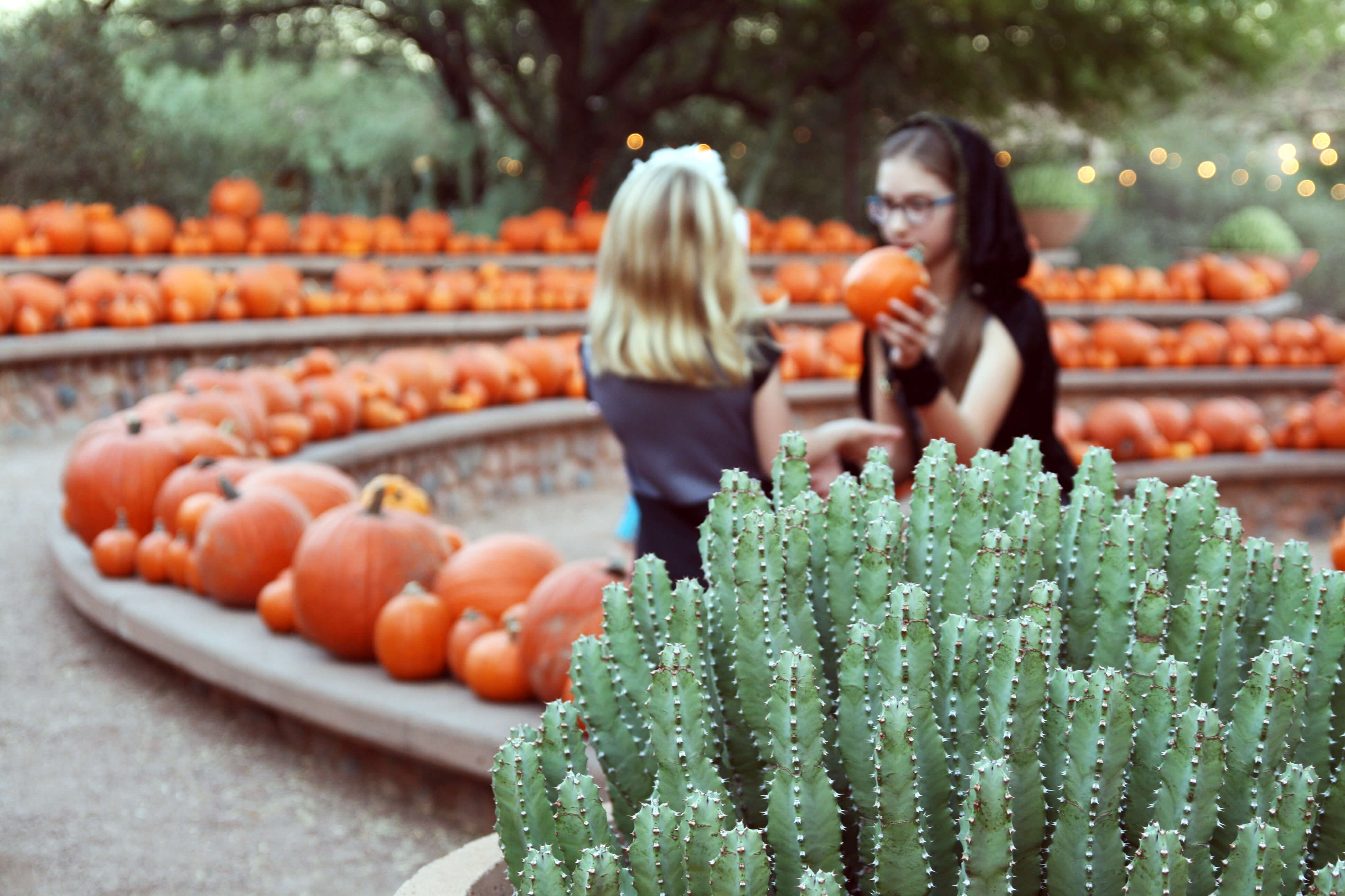 Dos niñas rodeadas de calabazas en el evento Strange Garden en DBG