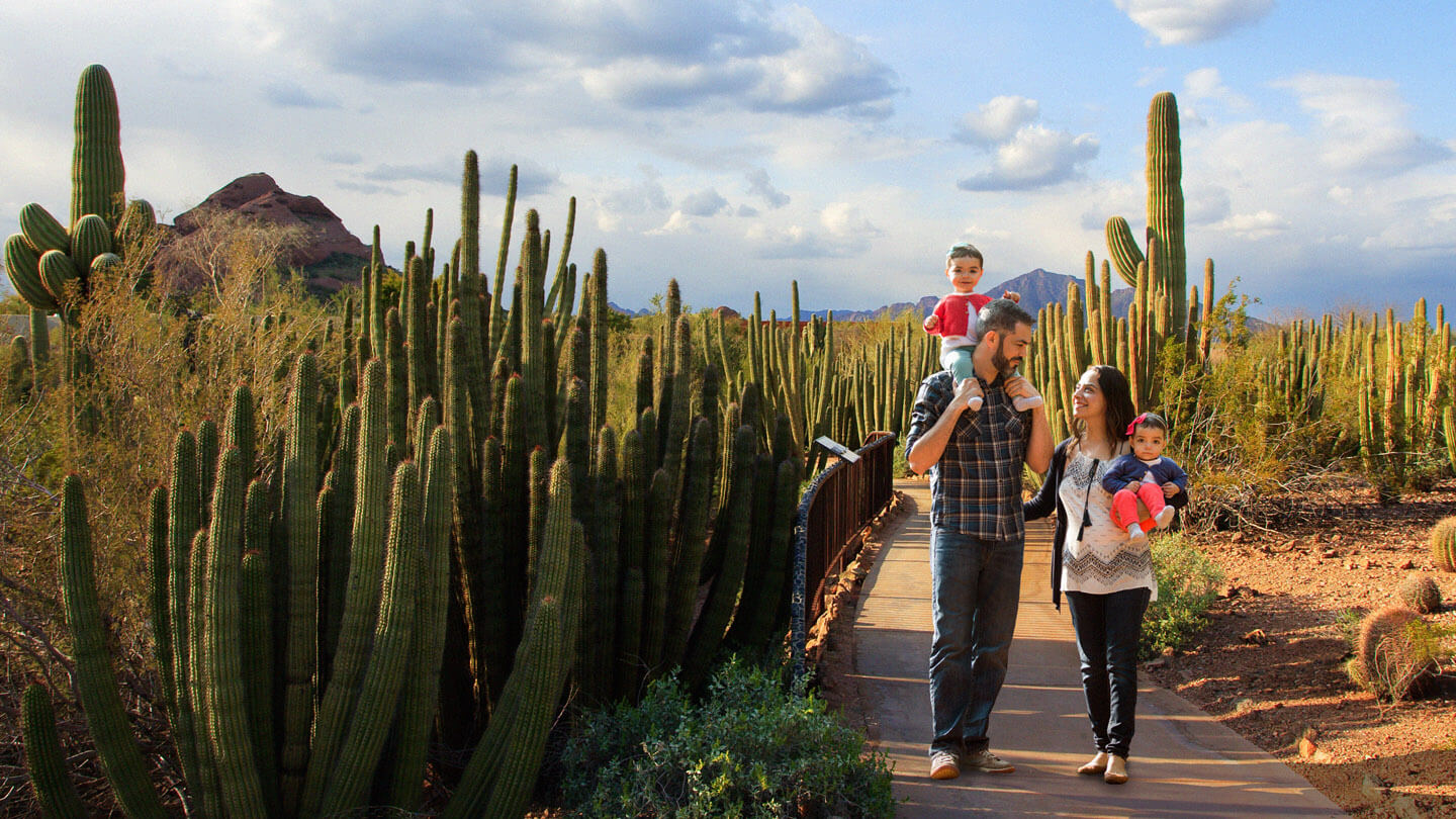 Family walking through the Sonoran Desert Nature trail at the desert botanical gardens