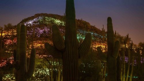 Sonoran Light exhibit at the Desert Botanical Garden