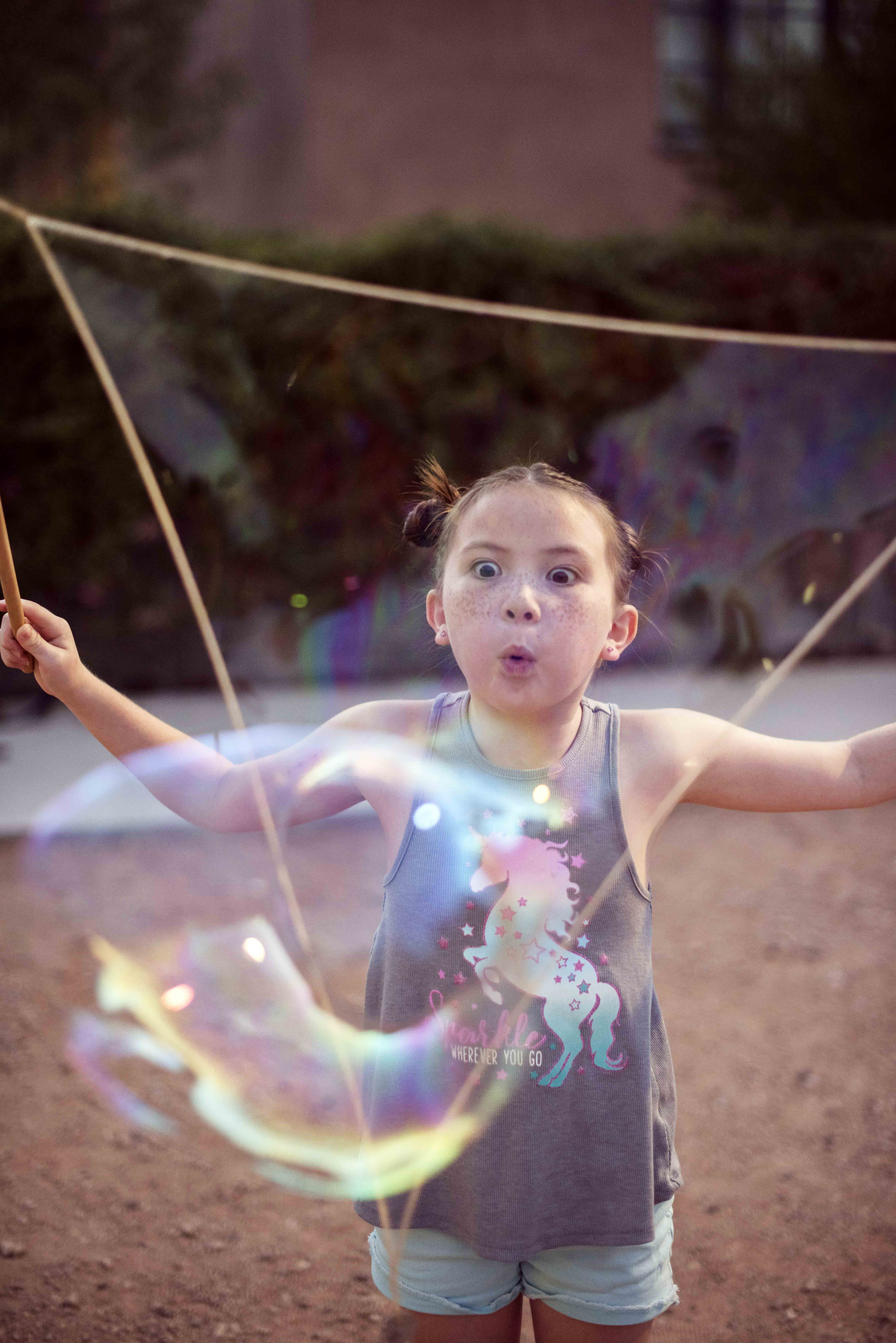 Flashlight Tours, Desert Botanical Garden
