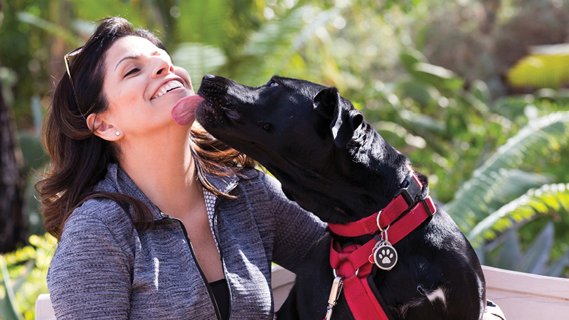 Dog Licking Women