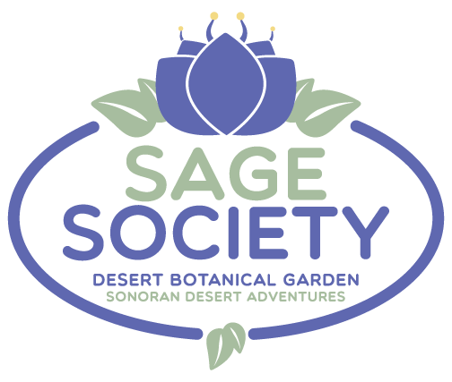 DBG_SageSociety_Logo-01