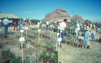Historia de la venta de plantas del Jardín Botánico del Desierto