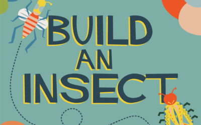 Actividad | Construir un insecto