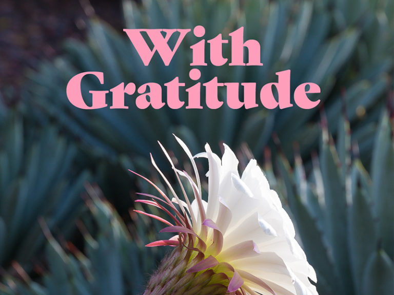 Send a Virtual Postcard