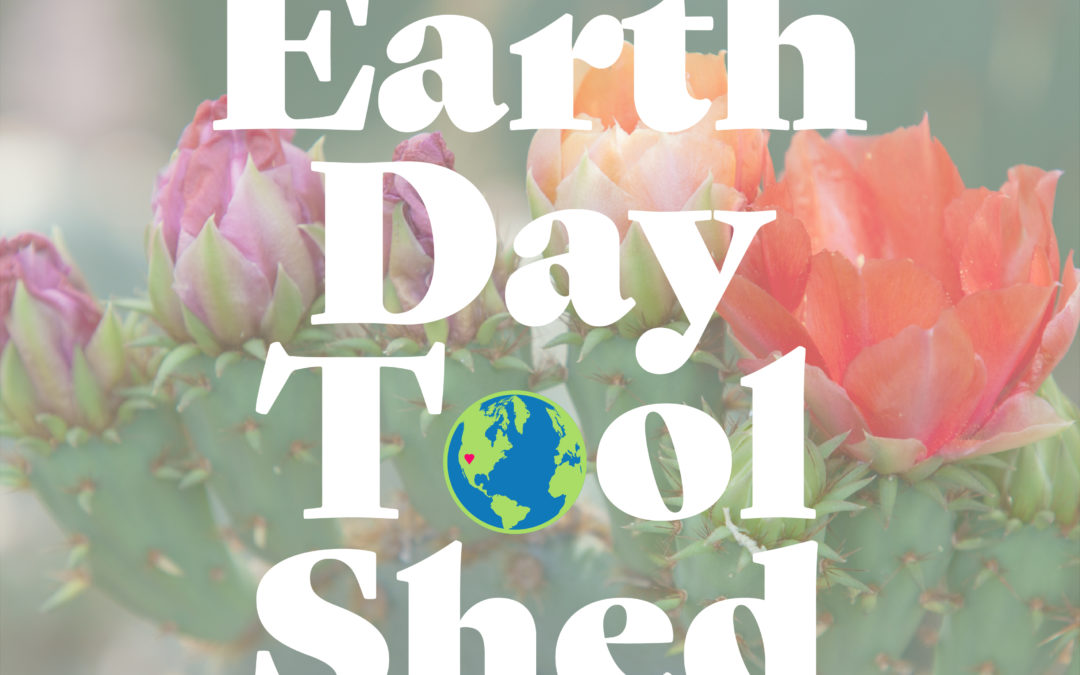 Día de la Tierra 2020 | Cobertizo para herramientas