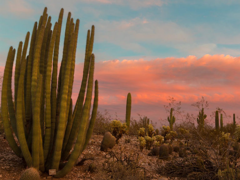 #AZSunset Inspiration
