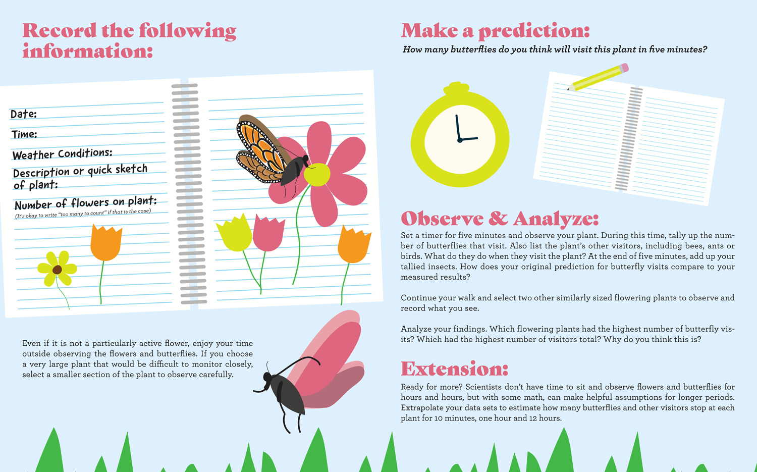 Cactus Kids Butterfly Search Instructions