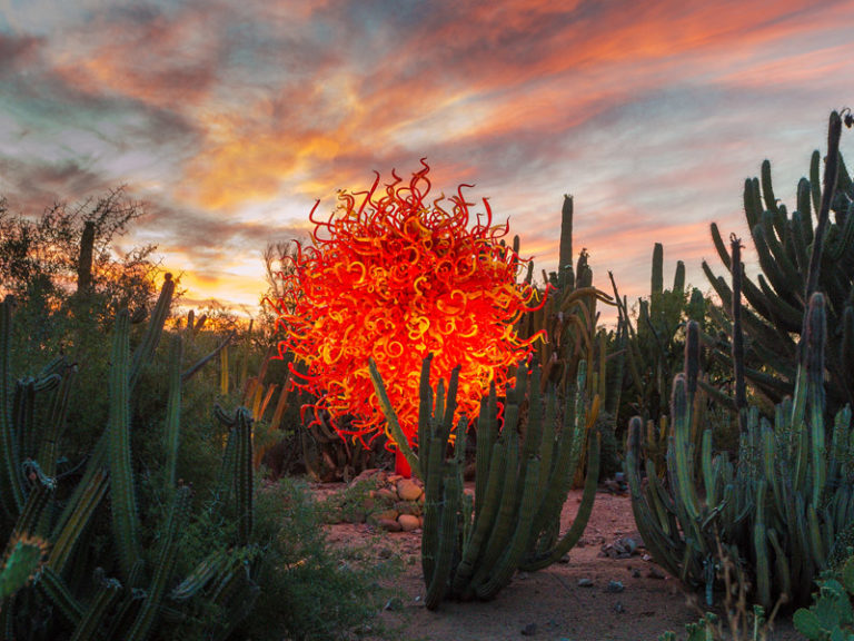 Flashback to Chihuly