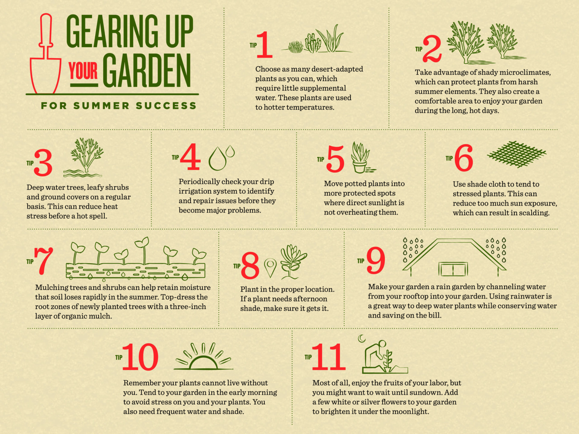 Consejos de jardinería de verano