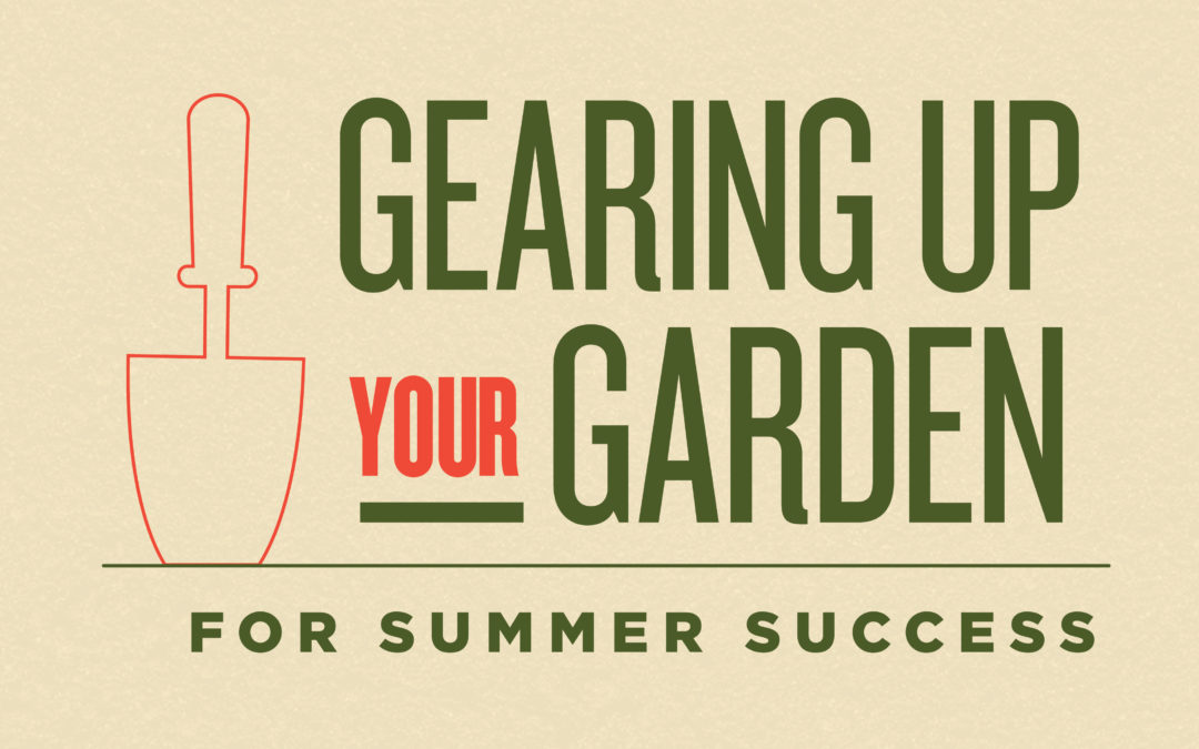 Preparando su jardín para el éxito del verano
