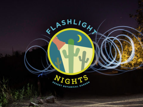 Flashlight Nights at Desert Botanical Garden