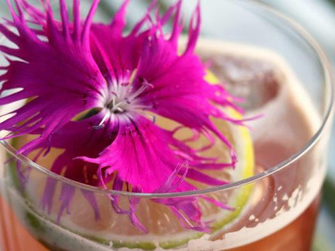 Sonoran Sippin Spring 2021 Floral Drink