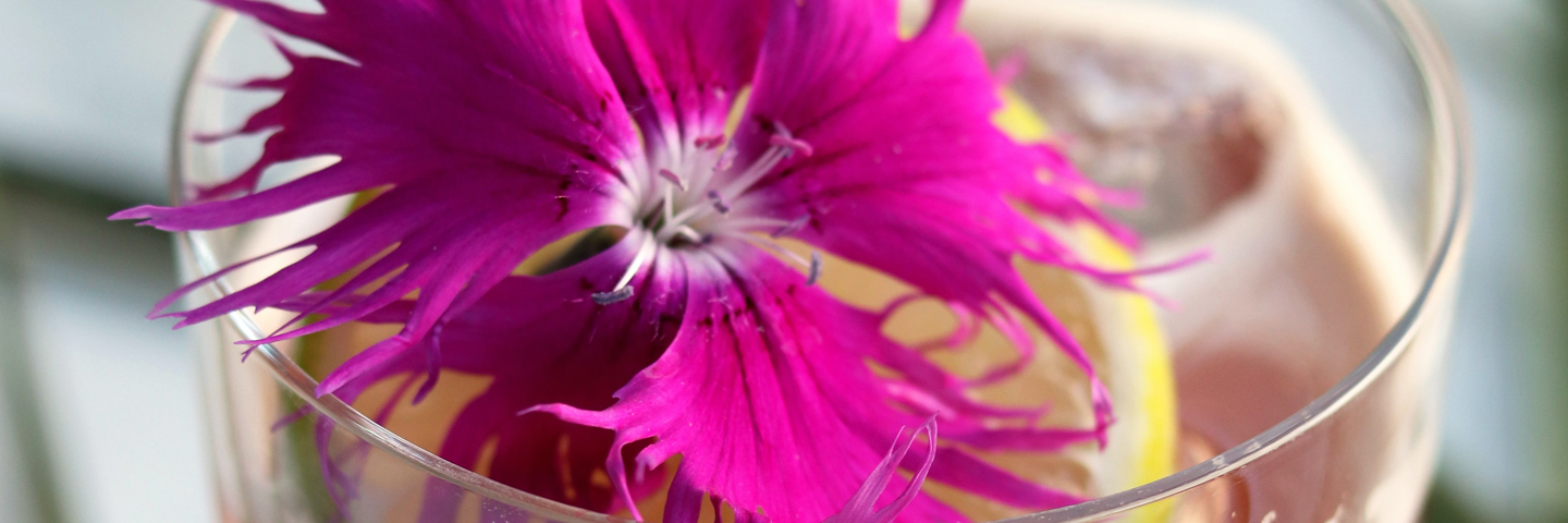 Sonoran Sippin Spring 2021 Floral Drink