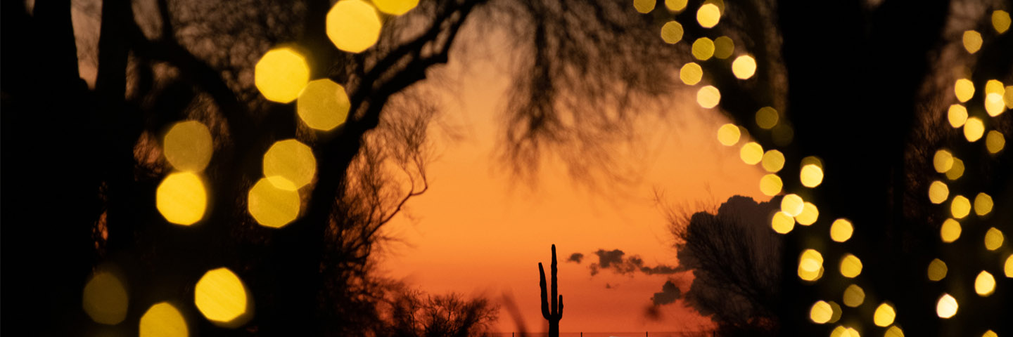 Saguaro contra una puesta de sol naranja
