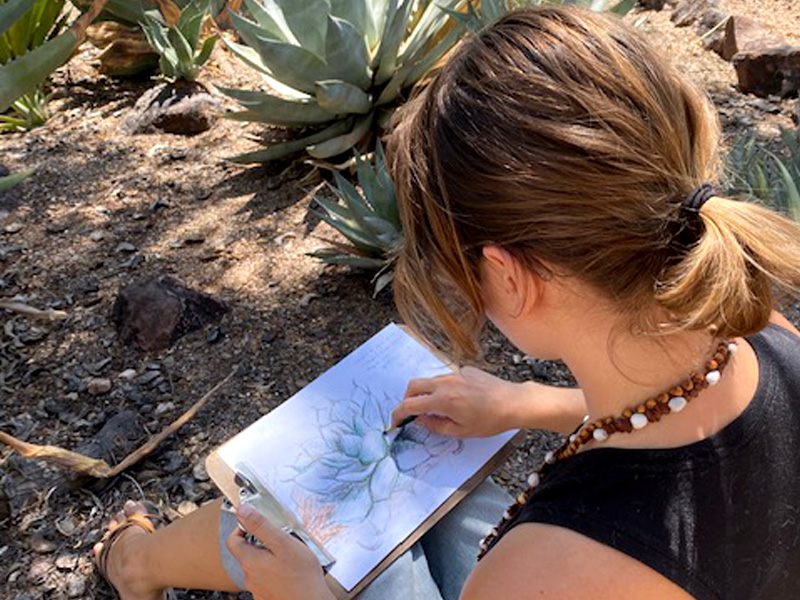 Nature Sketching with Desert Botanical Garden