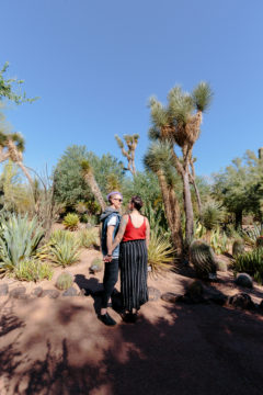 Couple enjoying views of yucca trees
