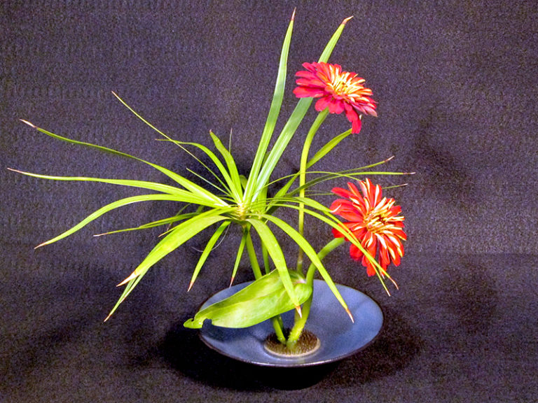 Activity | Backyard Ikebana