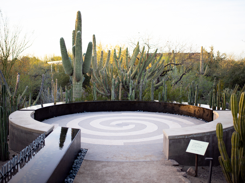 Jardín de contemplación en el jardín botánico del desierto
