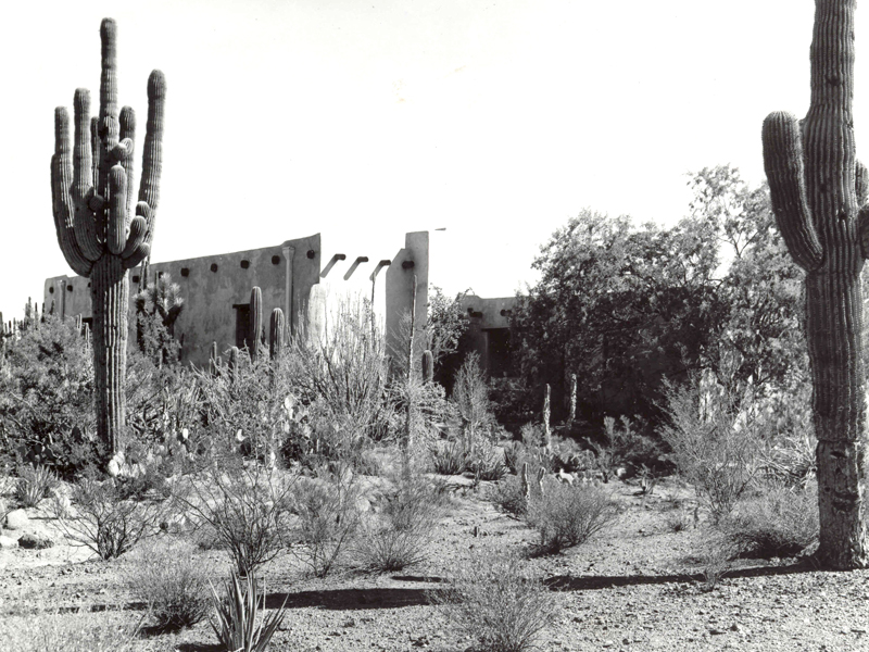 Heritage Garden en 1940 en Desert Botanical Garden