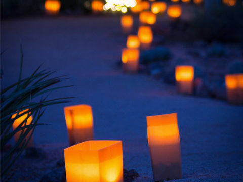 Luminarias lining the trail at the Garden