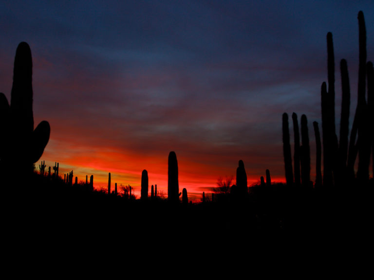 Nighttime Photo Tips