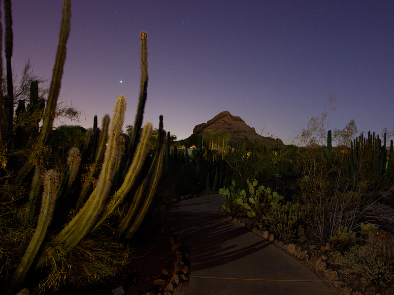 Night shot of the butte at DBG