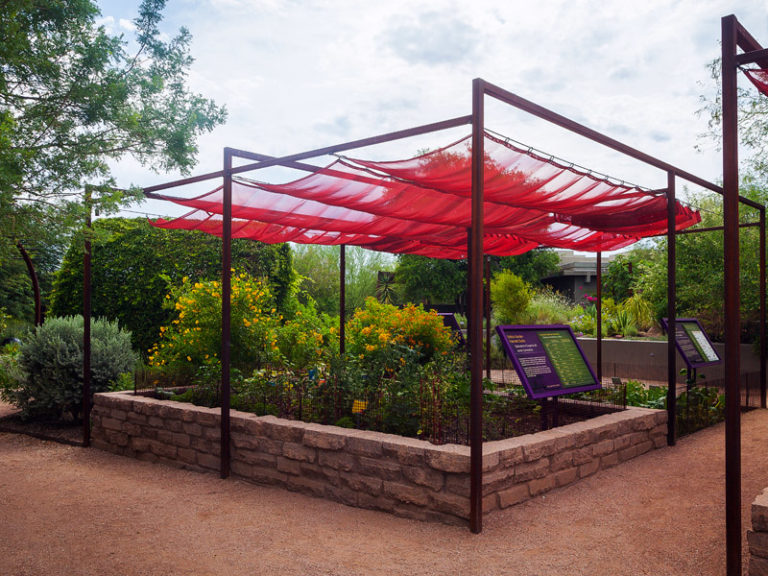 A Stroll Through the Steele Herb Garden