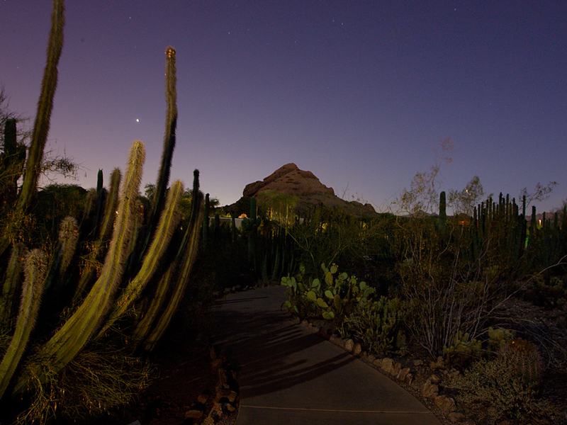 Senderos de jardín por la noche