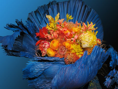 Waterlily Pond Exhibit