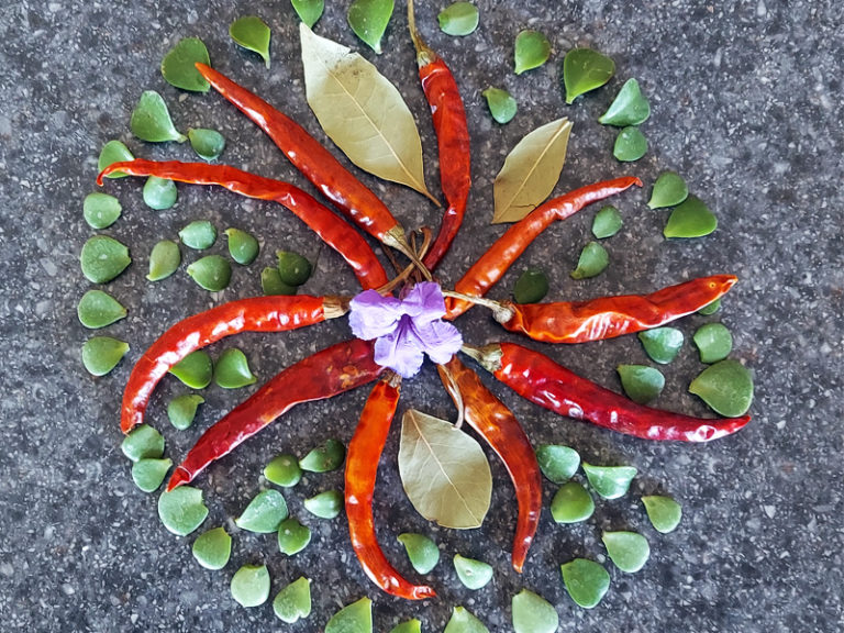 Activity | Nature Collage Mandala