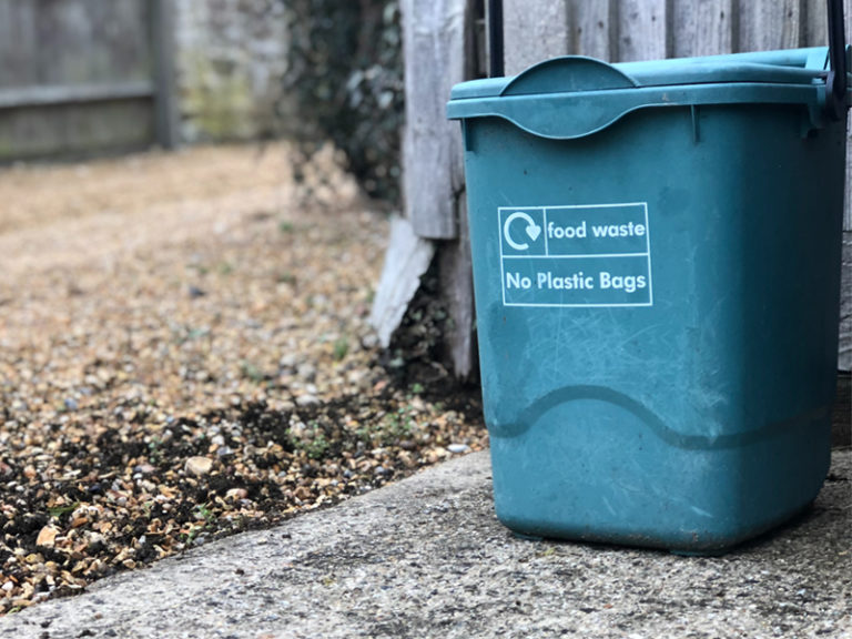 Activity | Simple Guide to Composting