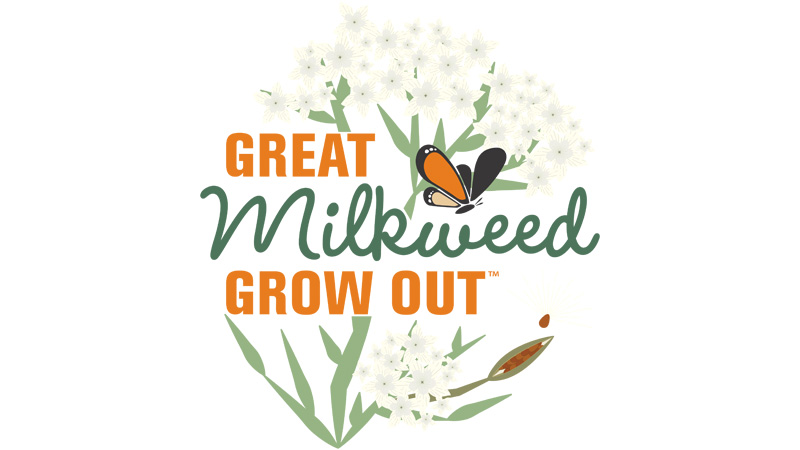 Great Milkweed Grow Out Logo