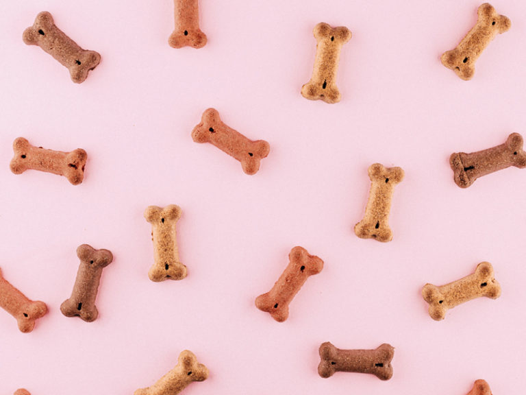 Recipe | Pumpkin Pup Biscuits