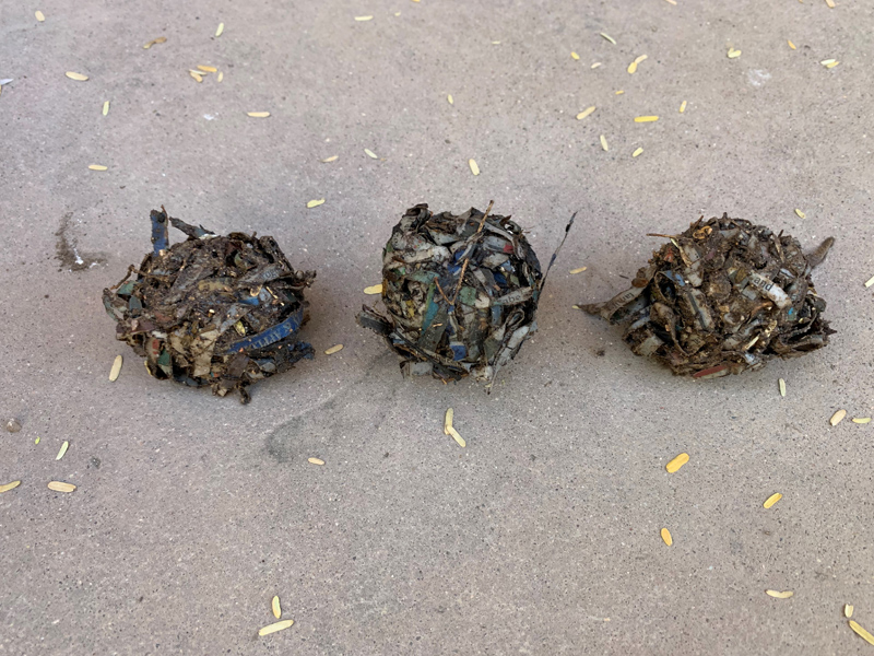 Native seed balls