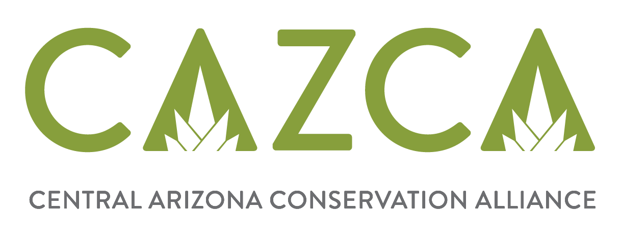 Logotipo de CAZCA