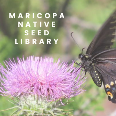 Maricopa Native Seed Library Logo