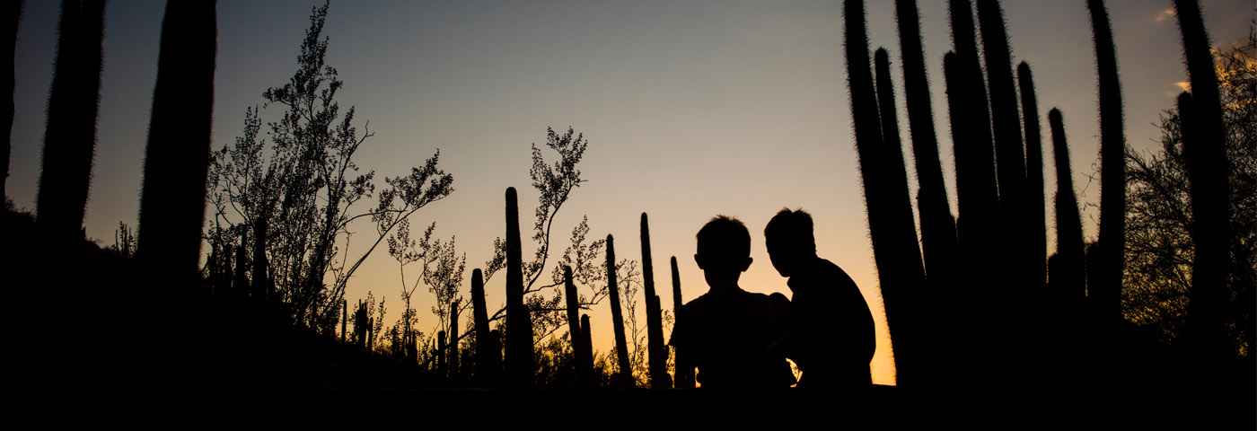 Los muchachos mirando la puesta de sol en el jardín botánico del desierto