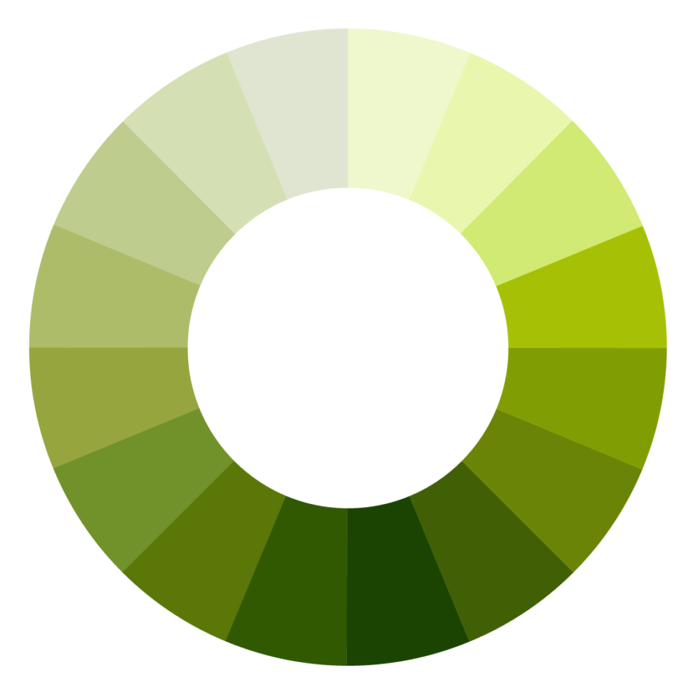 Activity | Shades of Green | Desert Botanical Garden