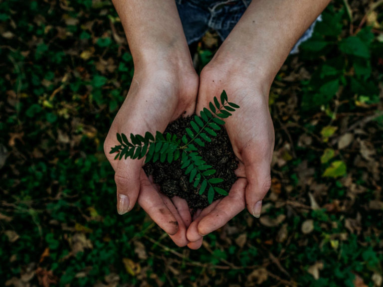 Calculating Your Carbon Footprint