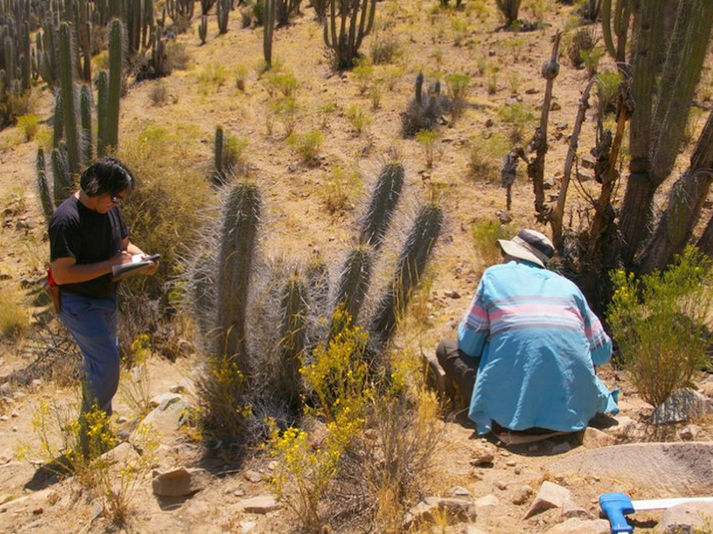 Diversity Through People and Plants