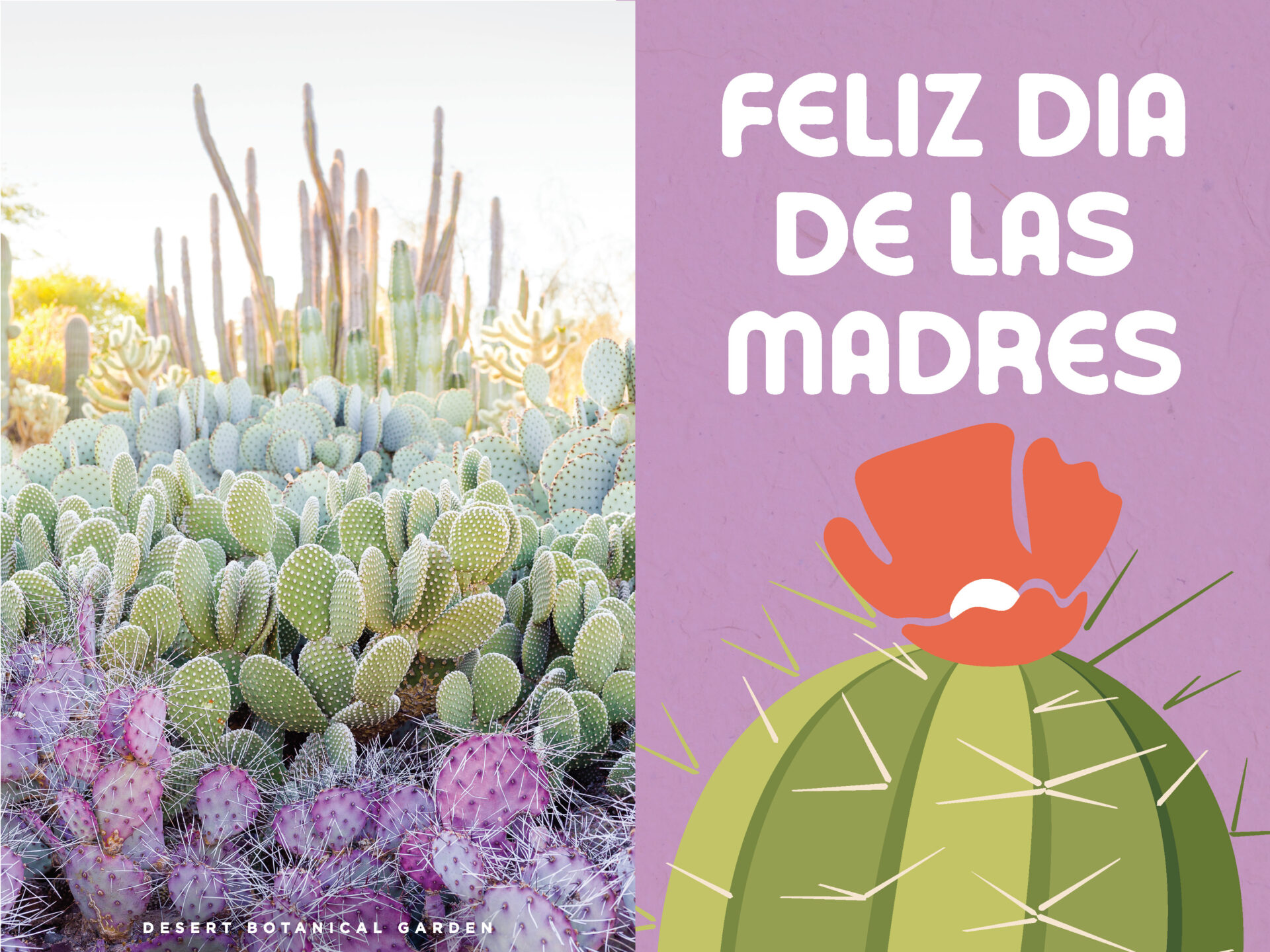Mothers Day Card 2- Spanish